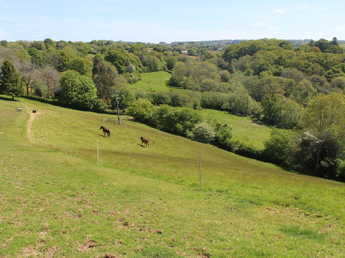 فيلا Hilly Field Barn يلفيرتون المظهر الخارجي الصورة